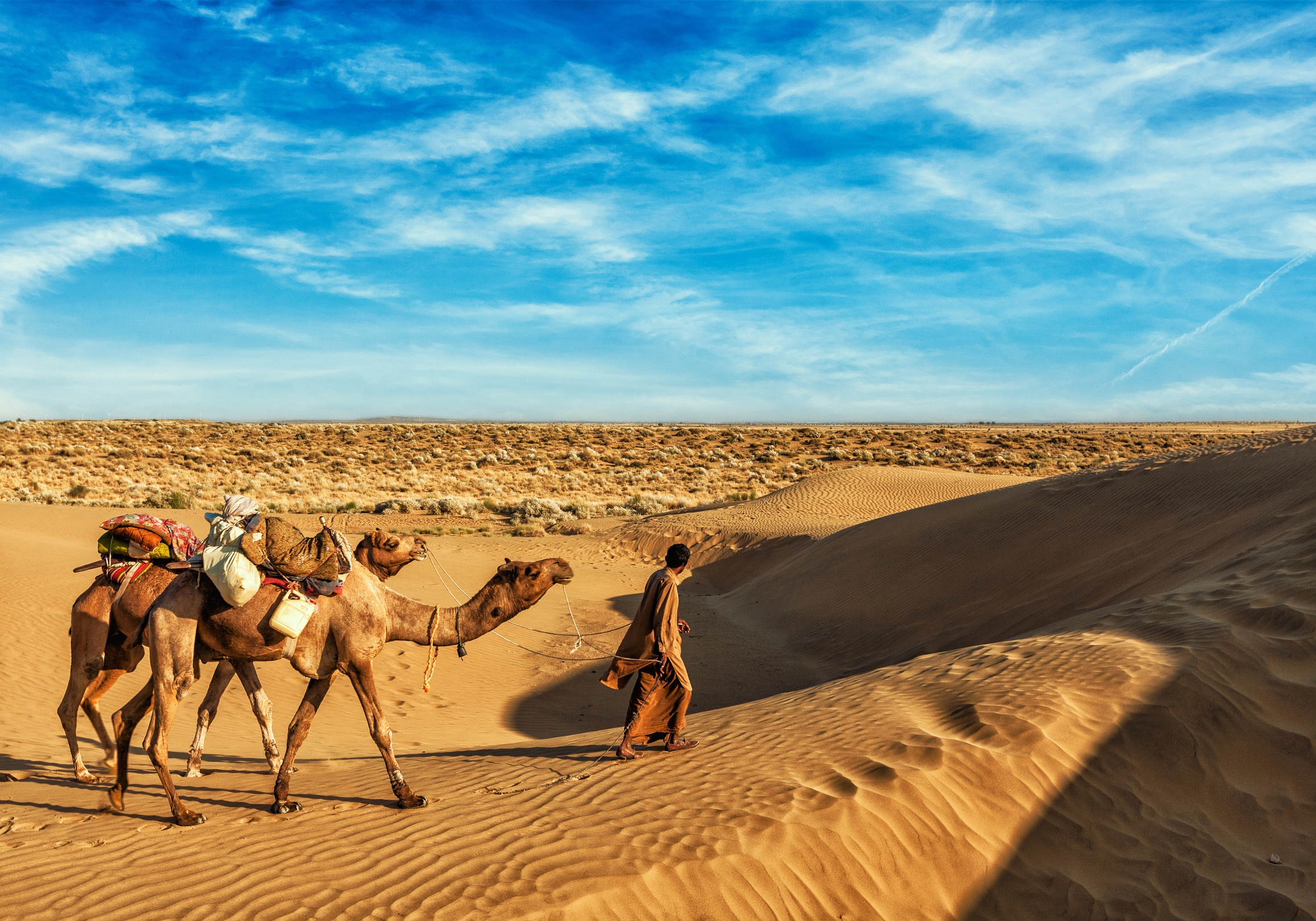 A good traveler has no fixed plans and is not intent on arriving.